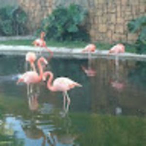 Meet your Posher, Betsabe